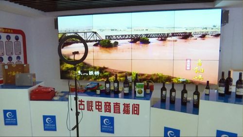 京東集團(tuán)西北區(qū)總部考察青銅峽市電子商務(wù)服務(wù)，共謀區(qū)域數(shù)字經(jīng)濟(jì)發(fā)展新篇章